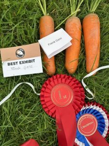Best Exhibit